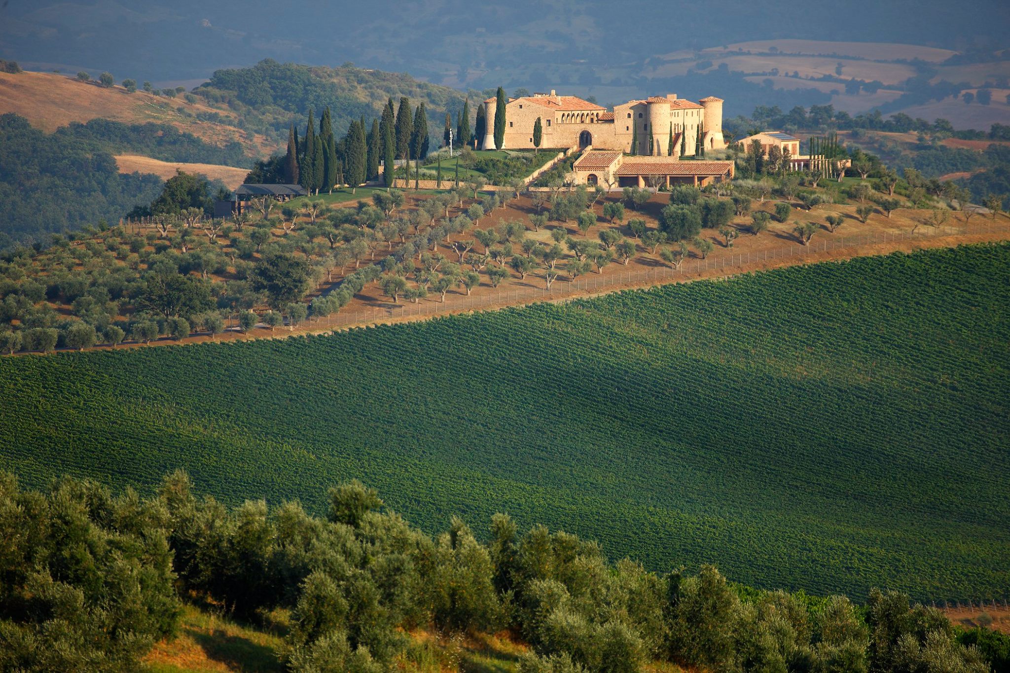 RFID & NFC per la tracciabilità del vino Collemassari