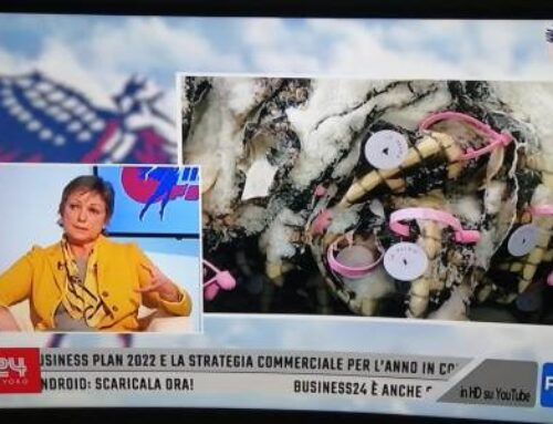 intervista televisiva sul nostro mondo RFID e Bluetooth Low Energy
