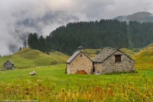 Parco Naturale Veglia Devero - Didà con RFID Parco Naturale Veglia Devero - Didà con RFID