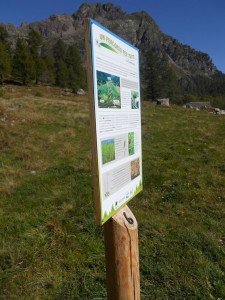 Parco Naturale Veglia Devero - Didà con RFID Parco Naturale Veglia Devero - Didà con RFID
