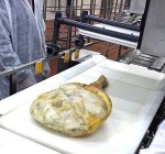RFID al Consorzio Prosciutto San Daniele RFID al Consorzio Prosciutto San Daniele